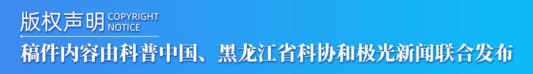 亚冬科普第13期丨冰球赛场 “黑科技”：看小小冰球杆如何助力赛事