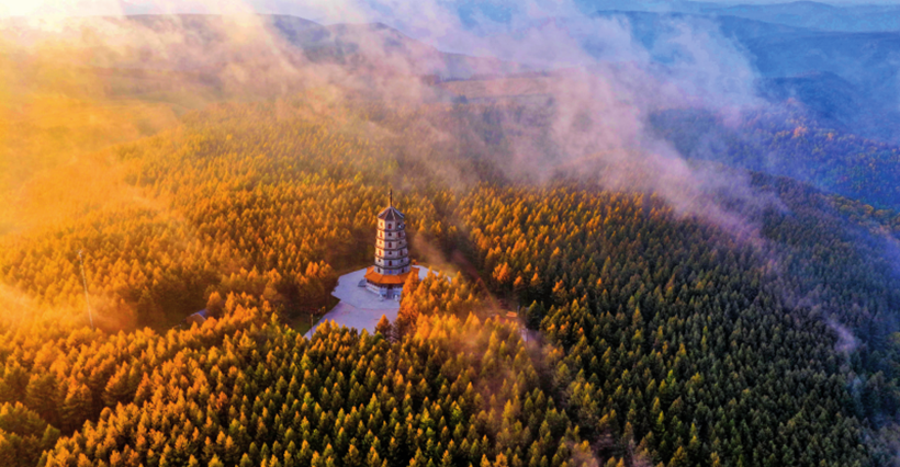 塞罕坝“二次创业”：续写绿色奇迹的崭新篇章
