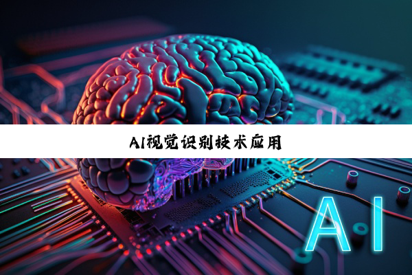 AI视觉识别技术应用