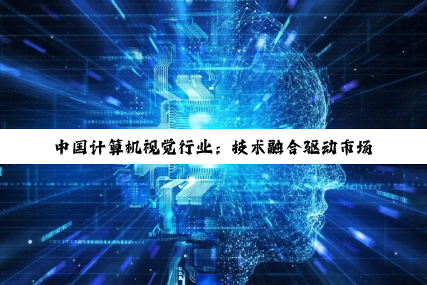 中国计算机视觉行业：技术融合驱动市场规模扩张与隐私保护下的多元化应用探索