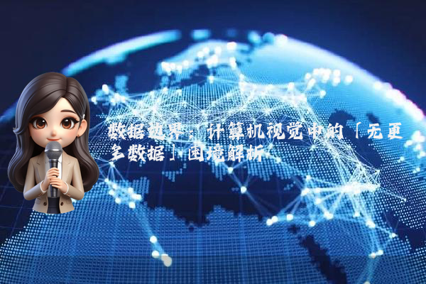 数据边界：计算机视觉中的「无更多数据」困境解析