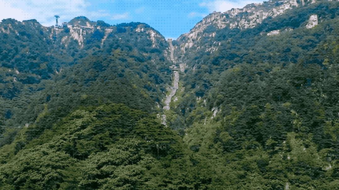 “爬泰山爬到怀疑人生？” 这回有救了！