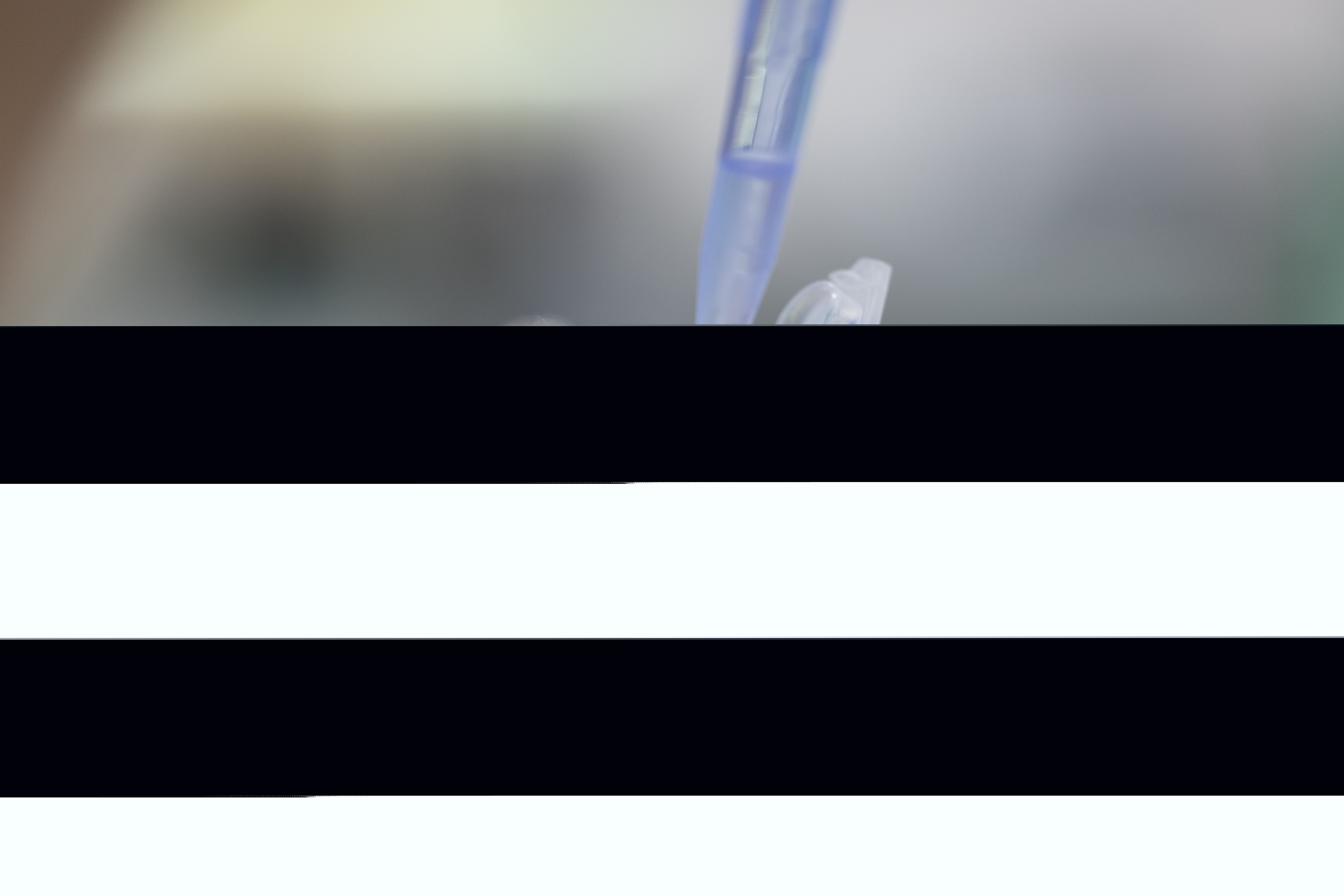 21355067.jpeg