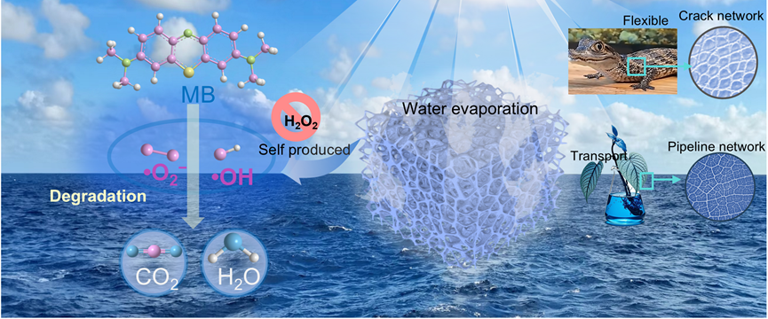 这种故意制造裂纹的材料，竟能同时搞定海水淡化和污水修复