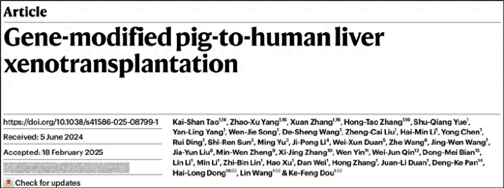 中国完成全球首例基因编辑猪肝脏移植人体，我们快用上猪器官了吗