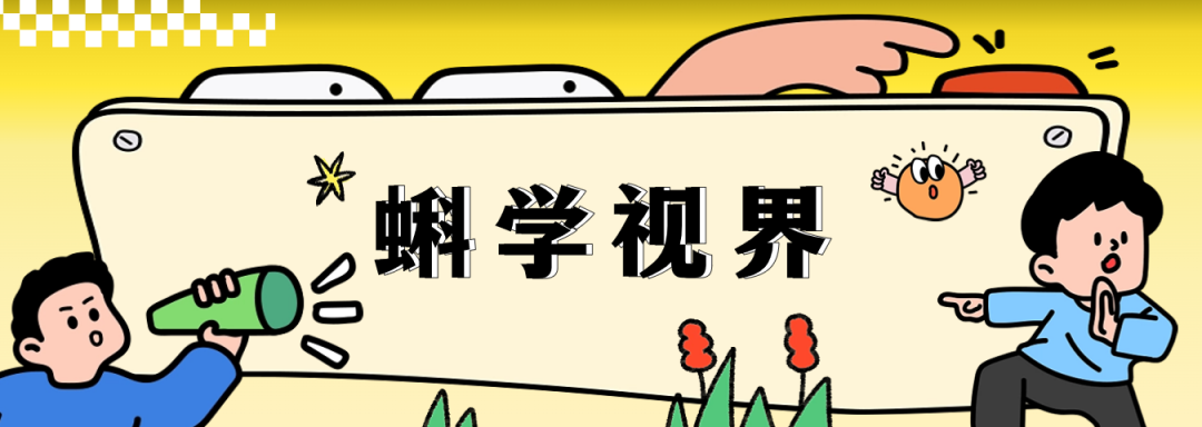 无需依赖任何国外授权技术！新一代国产CPU有多强？