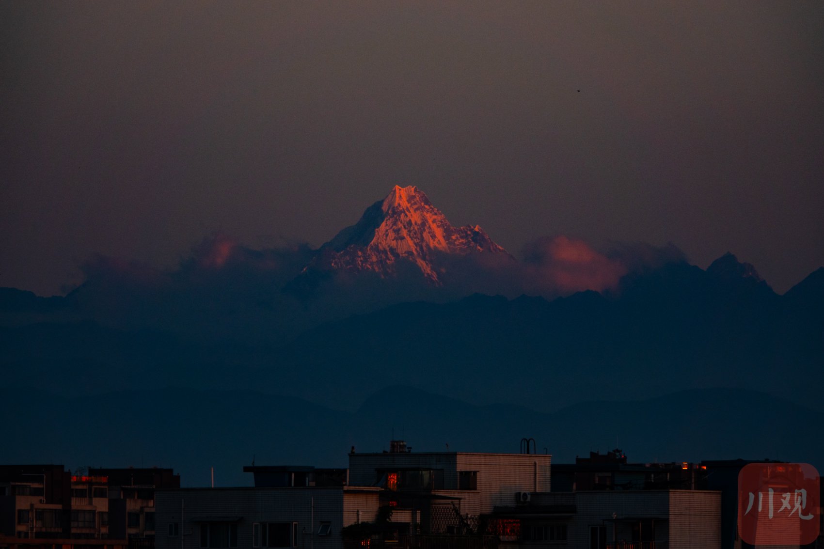 7月19日，在成都市区遥望雪山。清晨的朝霞映在雪山上，形成日照金山美景。C视觉签约摄影师 郑南贵 摄