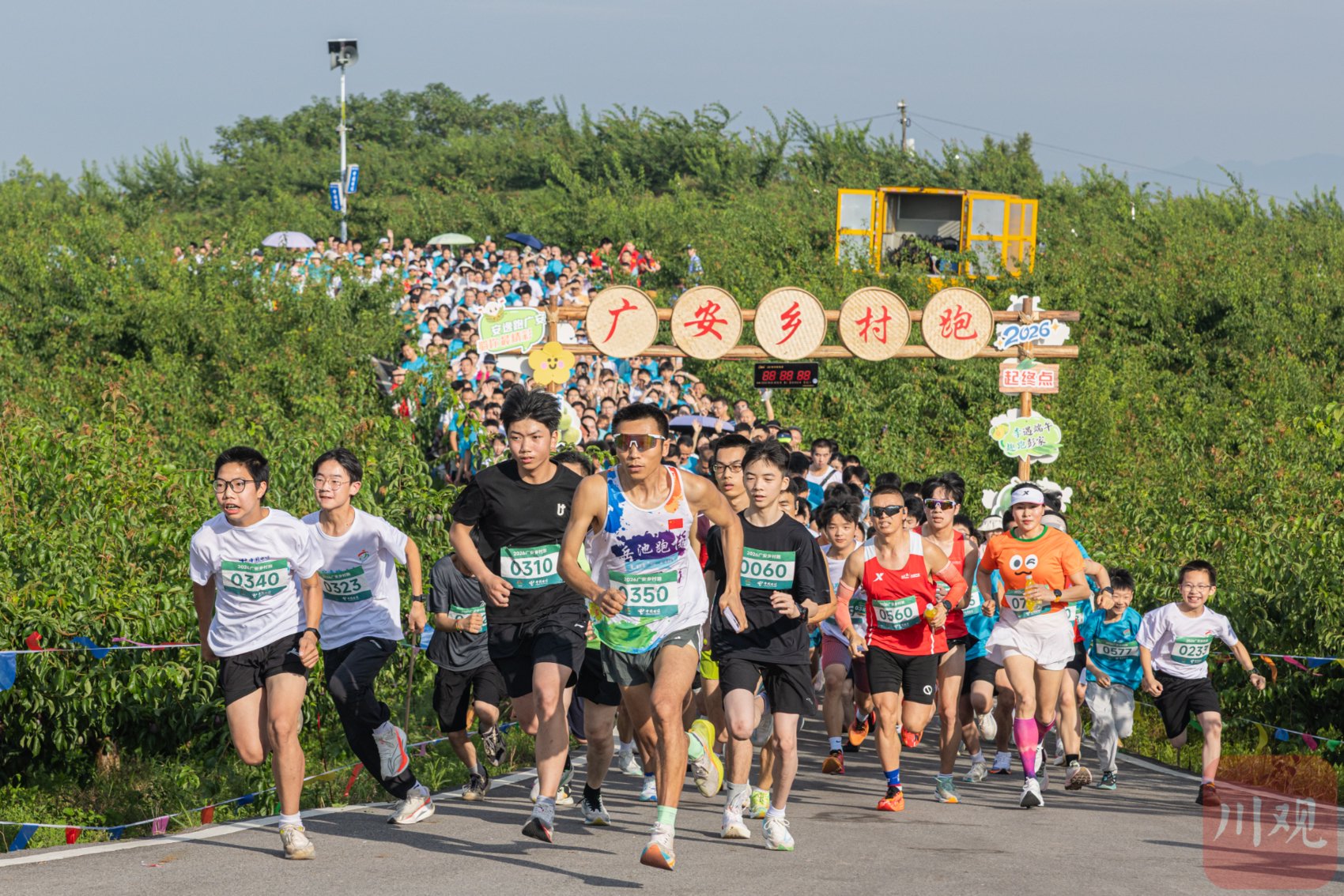 2026广安乡村跑，参赛选手穿梭于果园与稻田之间，尽享运动和乡野漫游之趣。C视觉摄影师 张波 摄