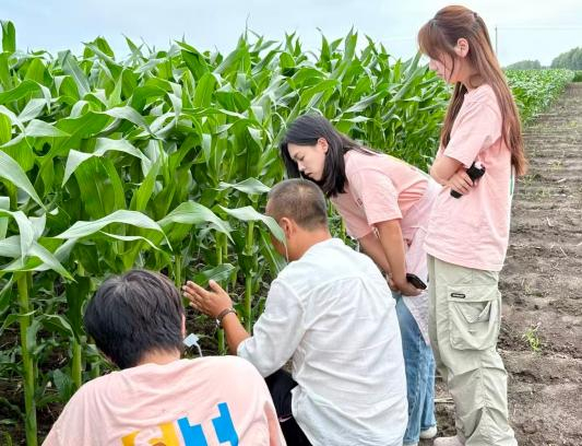 为北纬46°糯玉米打造视觉新名片，上海视觉艺术学院学子的“暑假作业”有点酷