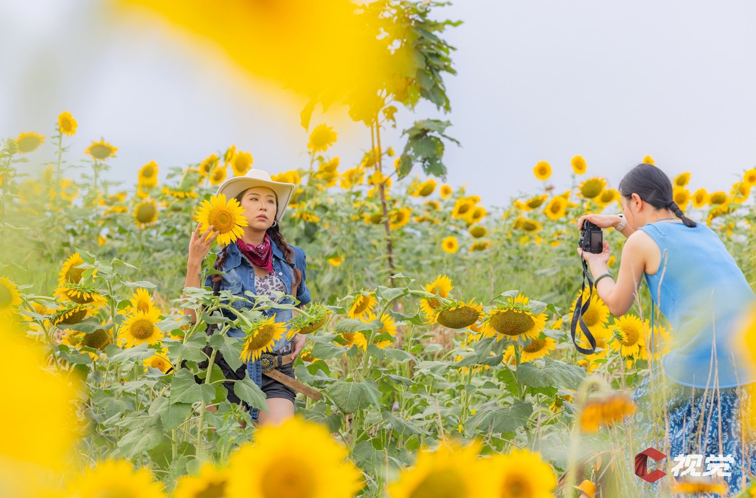 8月19日，游客在广安市前锋区观塘镇仁和村的向日葵花海游玩拍照。