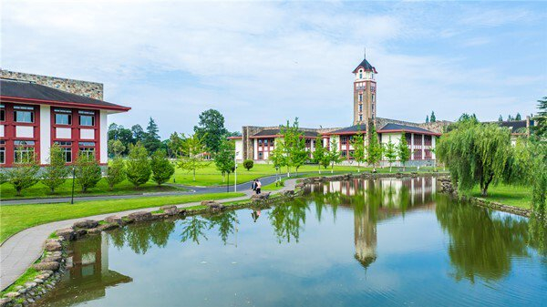 成都东软学院学子斩获2026年APMCM大学生大模型竞赛二等奖